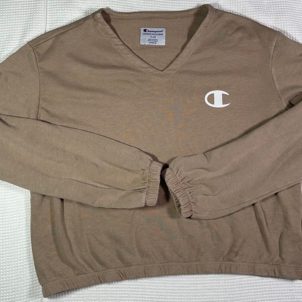 Champion brown v neck sweatshirt
